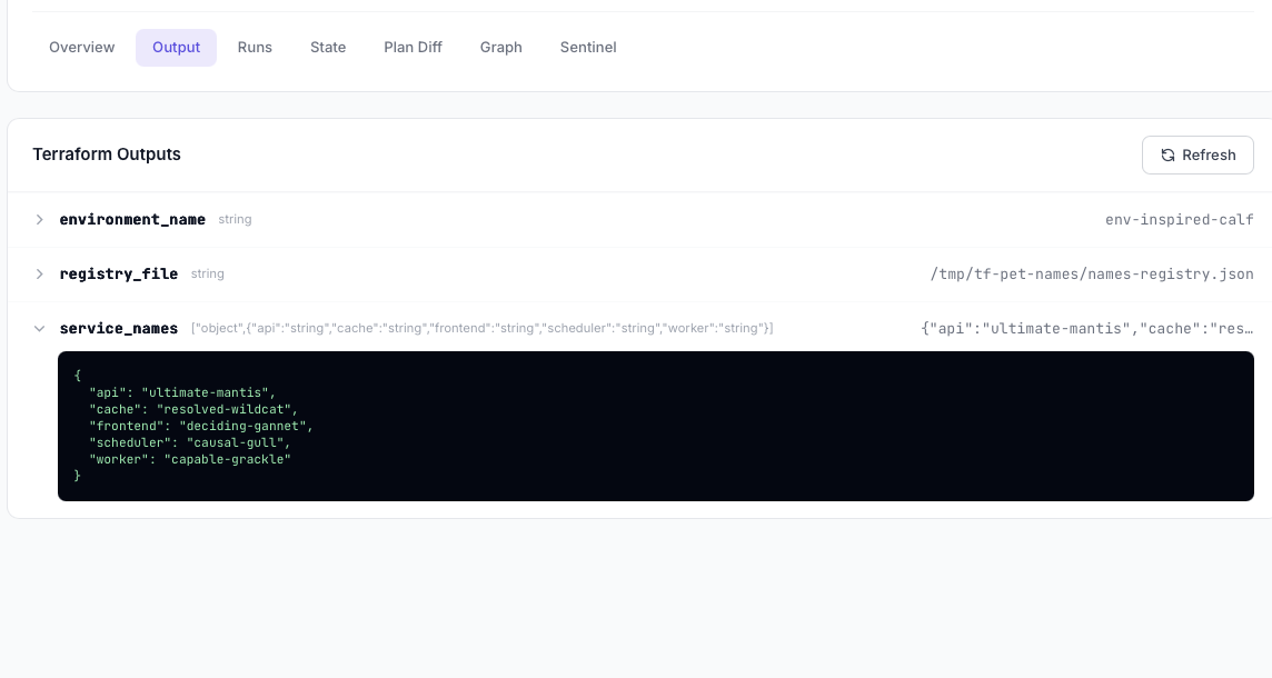 Terraform outputs
